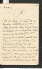 Seite 13, Tagebuch "Dürnstein | Wöbling - neol. | Höbenbach | Kl. Rust | Noppendorf" (NHMW-PRAE-BBB-45)